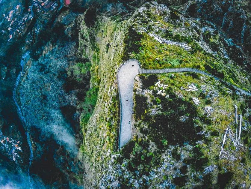 Does Algae Have a Defined Boundary? Exploring the Intriguing World of Aquatic Organisms
