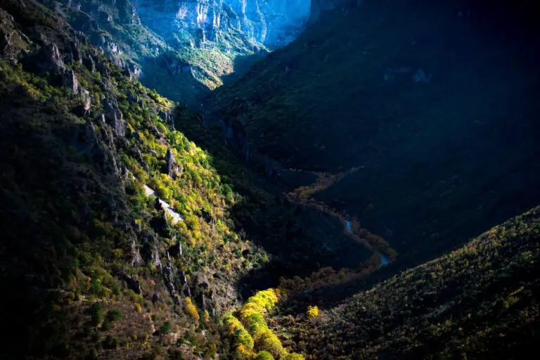 Can Algae Stain Pebble Tec? Preventative Measures and Cleaning Tips to