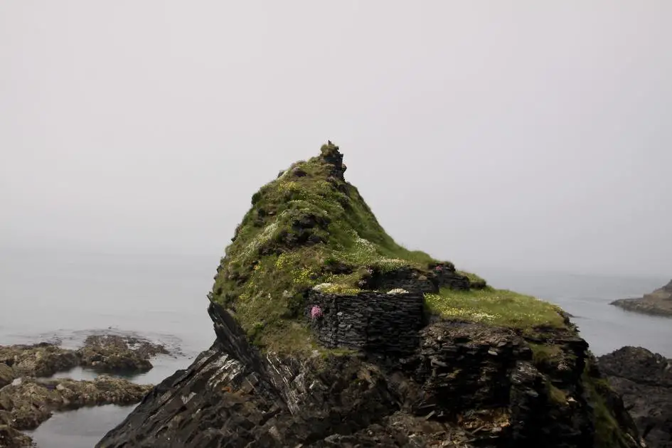 Why Are Algae Green? Discover the Surprising Answer in No Time!